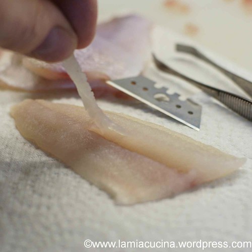 Eglifilets 0_2013 15 Feb_9607