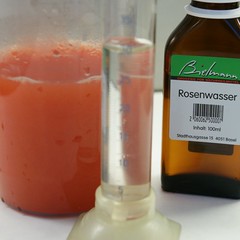 Rosen-Duschgel 1_2009 06 22_0947