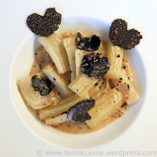 Cardons aux truffes 0_2011 01 23_1784