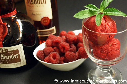 Sorbet Rothschild 1_2010 07 22_8234