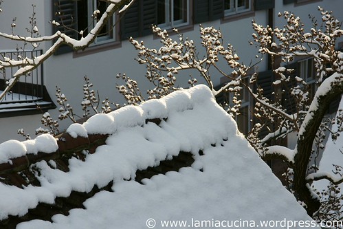 Winter 0_2010 12 02_0976