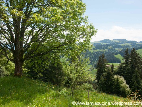 CH-3457 Lüderenalp 2013 05 23_0332