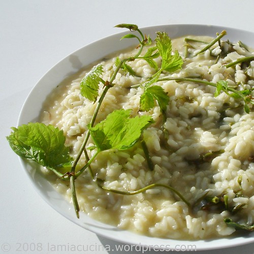 Risotto ai Bruscandoli