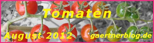 Garten-Koch-Event August 2012: Tomaten [31.08.2012]