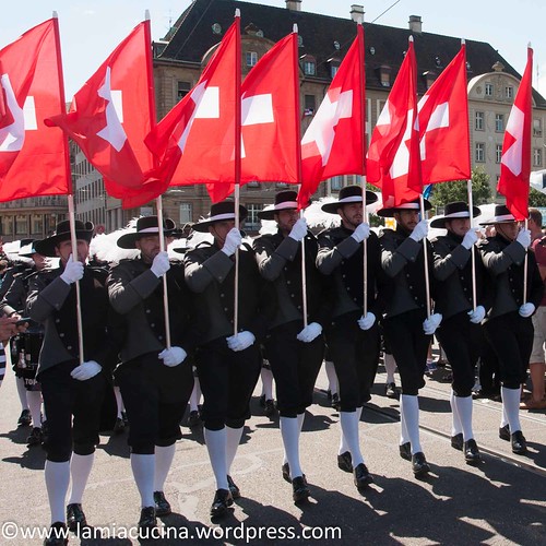 Basel Tattoo 2015 (2015 07 25_8434)