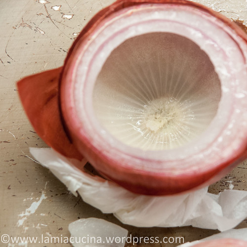 Zwiebel.Fisch 2014 04 01_3564