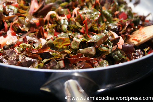 Mangold Tarte 0_2011 01 07_1361