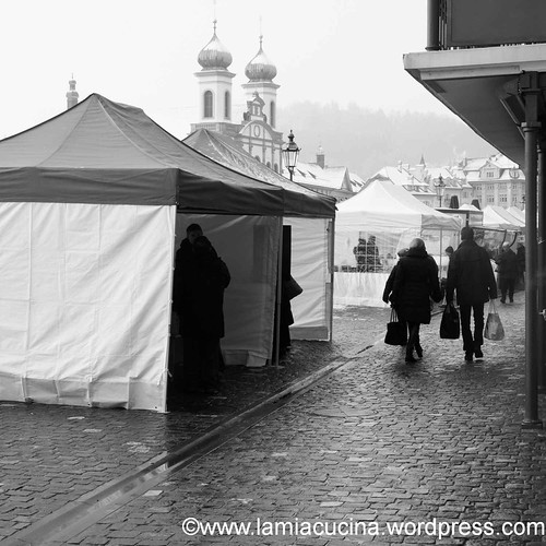Luzern Winter-2013 01 19_9322