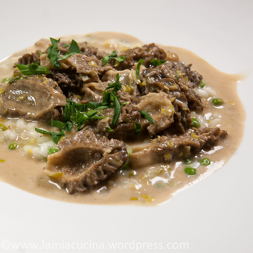 Risotto aux vin jaune et morilles 2014 04 13_3694