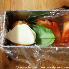 Tomaten-Mozzarella-Terrine 1_2010 08 14_8897