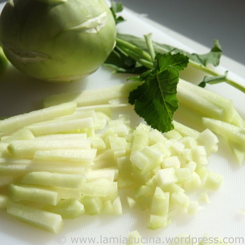 Kohlrabibeutelchen 1_2010 03 24_6045