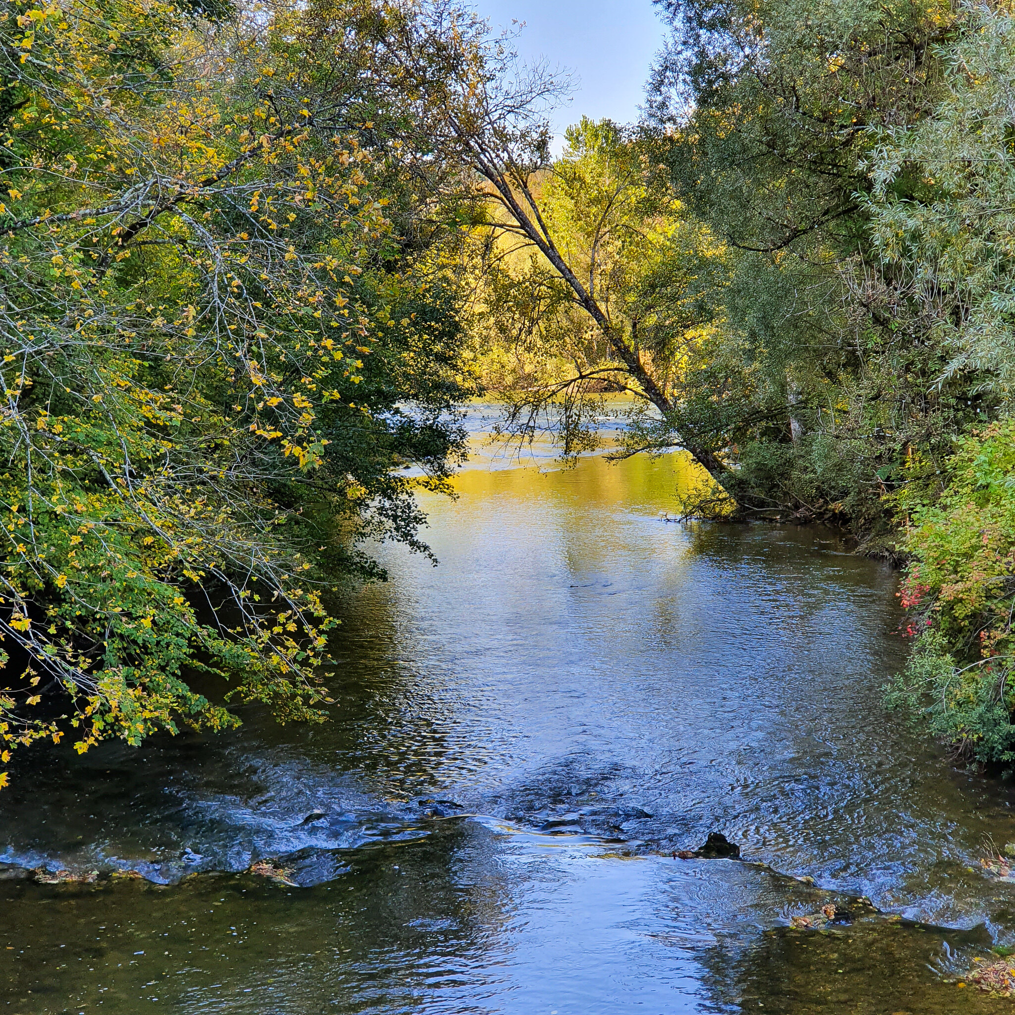 Doubs(28) 20191014_150408
