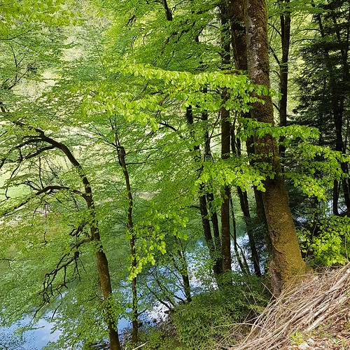 Doubs(14) Soubey 20180424_134341