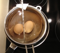 eier