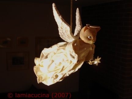 cat's angel