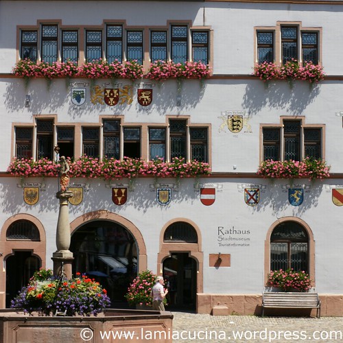D-79219 Staufen 1_2011 07 12_4875
