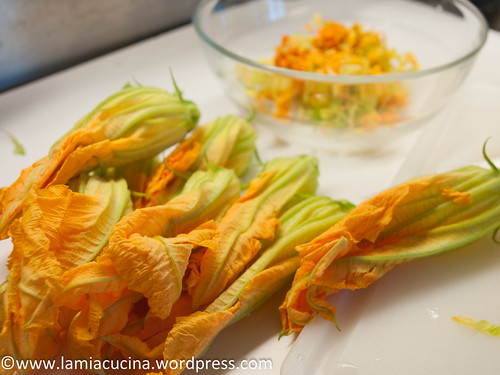 Salsa di fiori di zucca 2013 10 04_1798