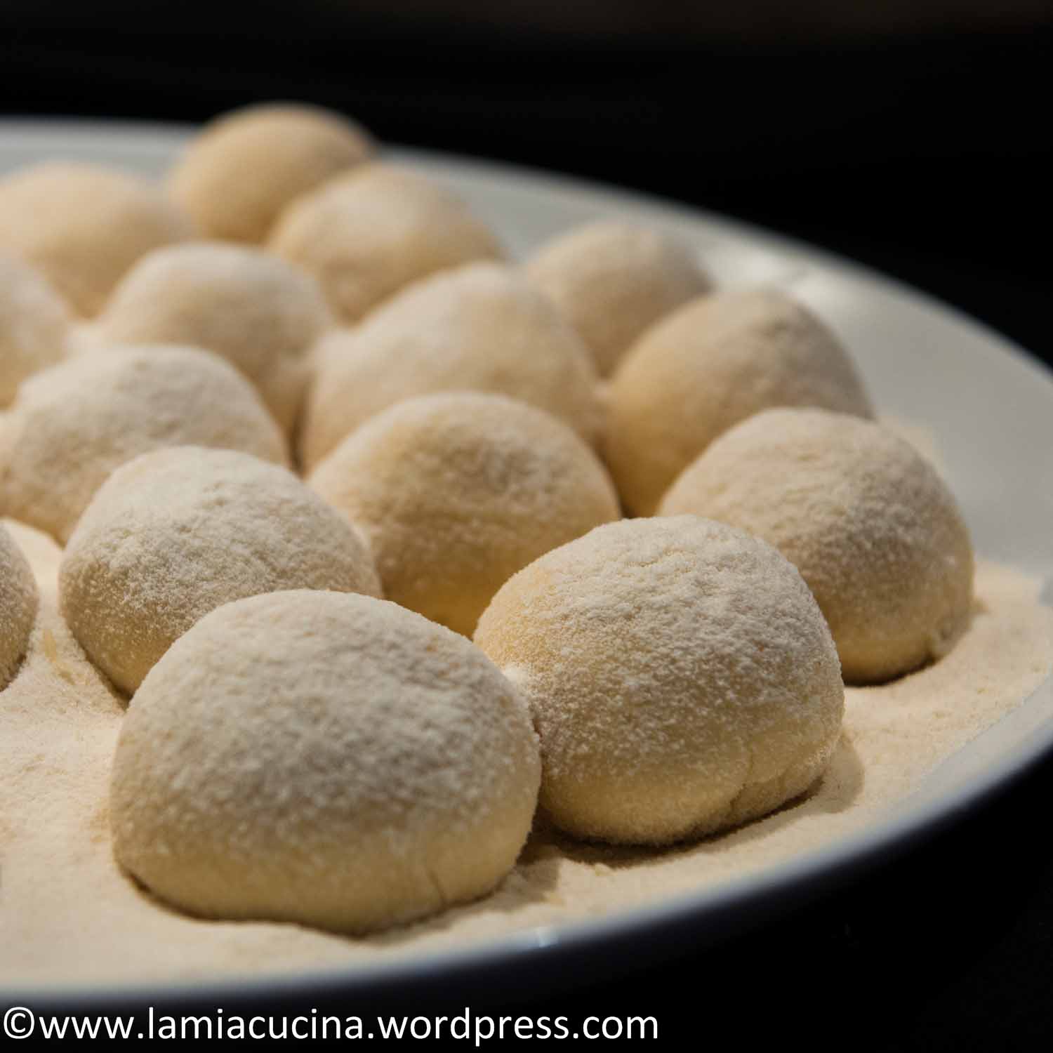 Gnudi
