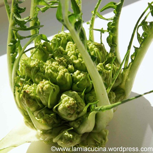GALA-Gnocchi 2_2012 03 26_3999