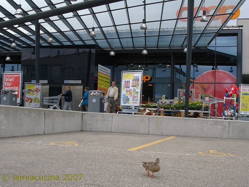 kein Entenfutter im Angebot