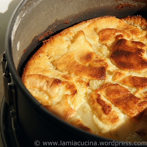 Apfelkuchen 0_2010 10 26_0397