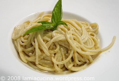 salsanoci0_2008 07 08_3486