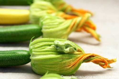Zucchiniblüten gefüllt 1_2012 07 08_6030