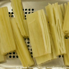 Cardoni fritti 1_2010 01 18_4770