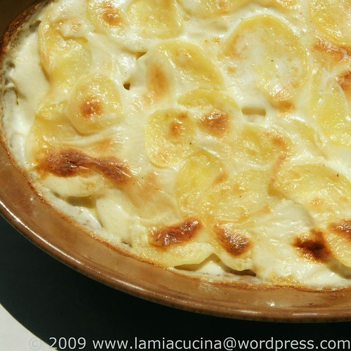 Gratin Dauphinois 0_2009 04 18_9662