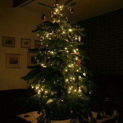 Weihnacht08 6_2008 12 20_7249
