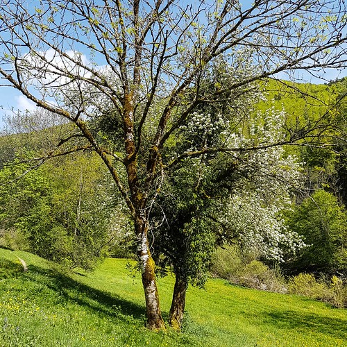 Doubs(14) Soubey 20180424_155938
