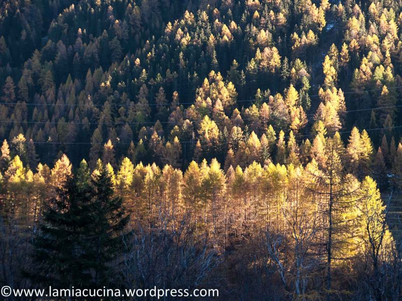 Unser Indian Summer