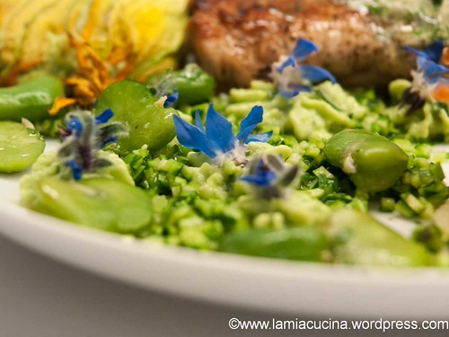 Kartoffelrosen 2013 08 18_1419