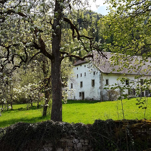Doubs(14) Soubey 20180424_131033