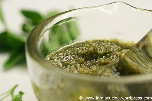 Salbeipesto 0_2011 05 31_3934