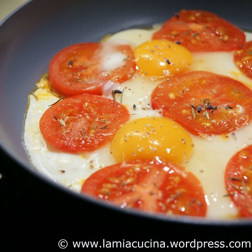 Tomateneier