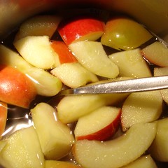 Apfelschnitze kochen