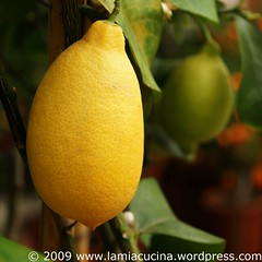 Limonen ?