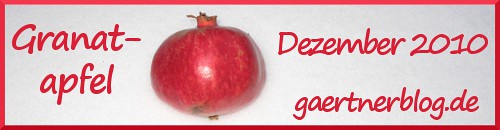 Garten-Koch-Event Dezember 2010: Granatapfel [31. Dezember 2010]