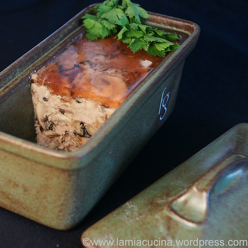 Pilzterrine 0_2011 11 14_1098