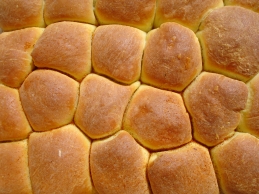 Speckbuchteln
