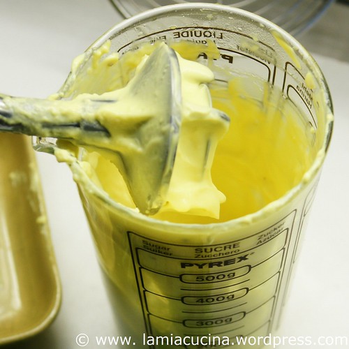 Kerbelmayonnaise 2_2010 04 05_6247
