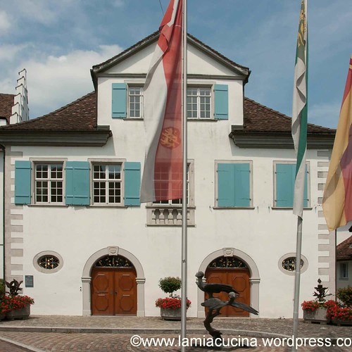 CH-8253 Diessenhofen 2013 07 09_0880
