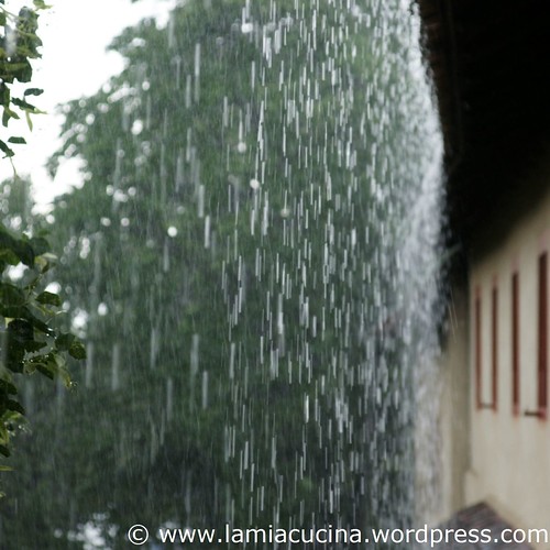 Regen 0_2009 07 15_1475