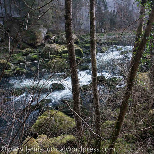 Doubs (1) Biaufond 2014 03 12_3467