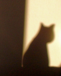 Maunzshadow
