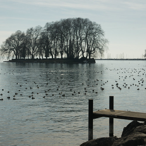 Jurabogen 2012 02 28_3371