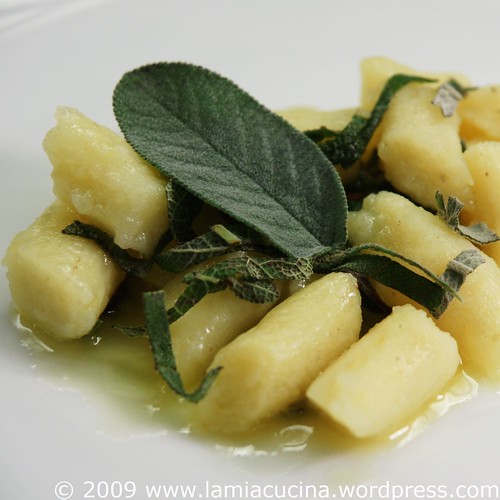 Kartoffelgnocchi 0_2009 05 22_0274