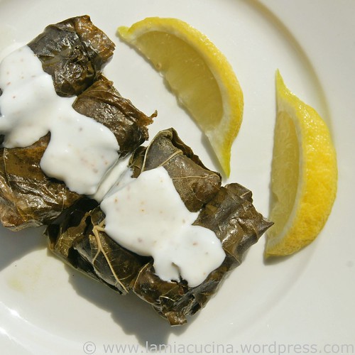 Dolmades 0_2010 04 18_6437_ed