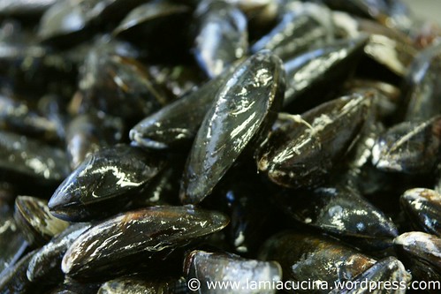 Moules 0_2010 09 14_9301